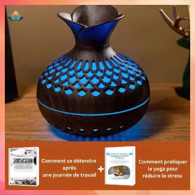 humidificateur-d'air-couleur-noir