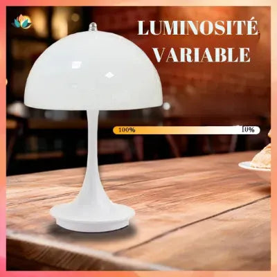 lampe-champignon-lumière-variable