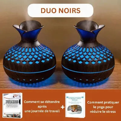 humidificateur-d'-air-noir