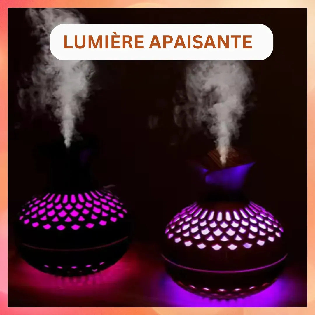 HUMIDIFICATEUR D'AIR | FLORA